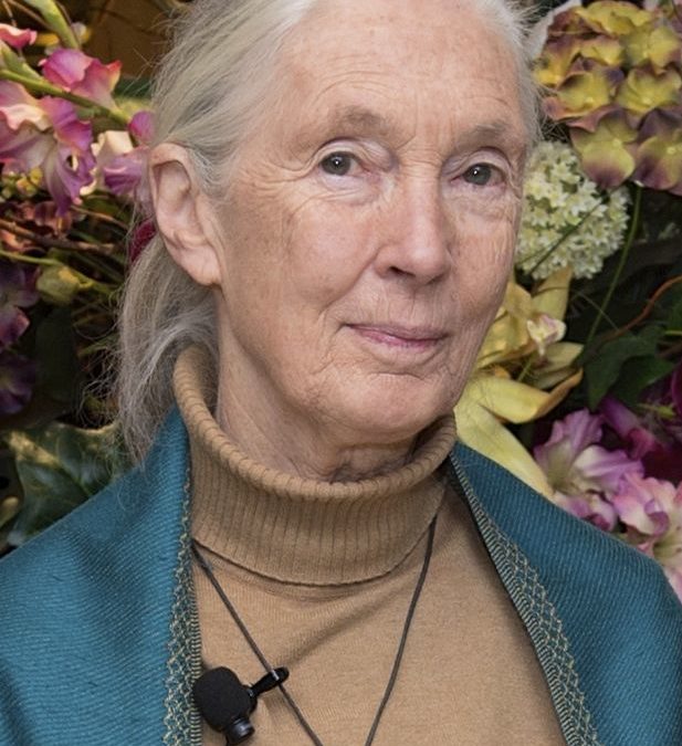 Jane Goodall